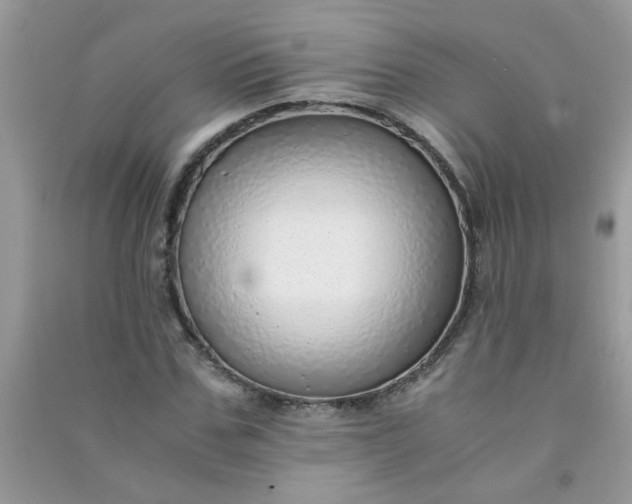 X0000091010971200708161955