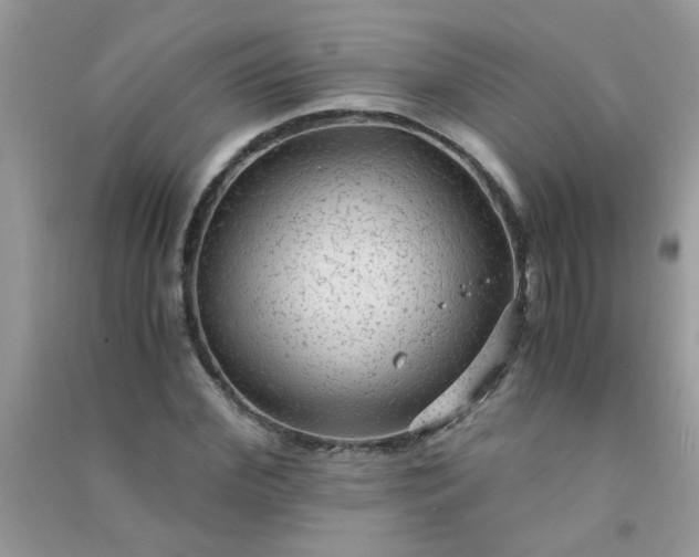 X0000091010972200708161955