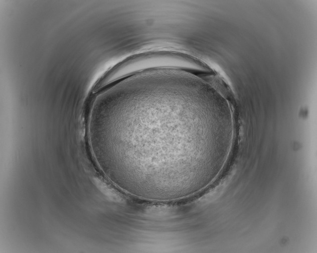 X0000091010973200708161955