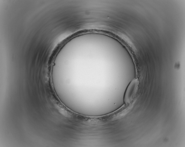 X0000091010974200708161955