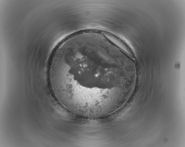 X0000091010975200708161955