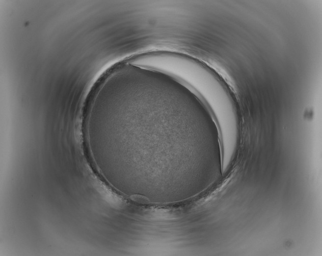 X0000091010976200708161955