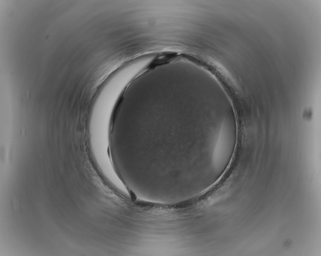 X0000091010977200708161955