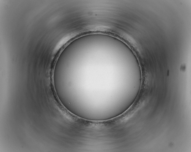 X0000091010978200708161955