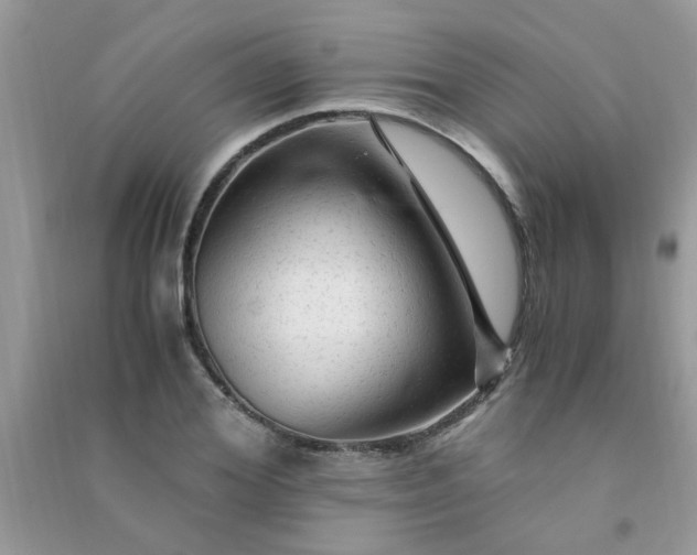 X0000091010980200708161955