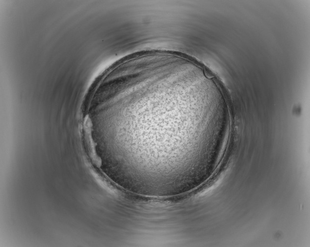 X0000091010981200708161955