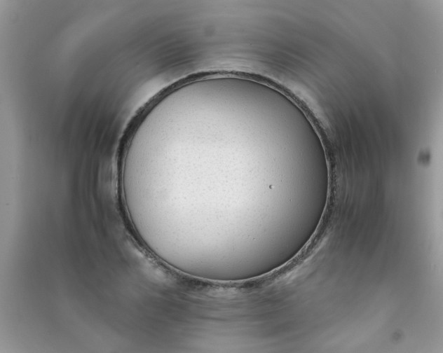 X0000091010982200708161955