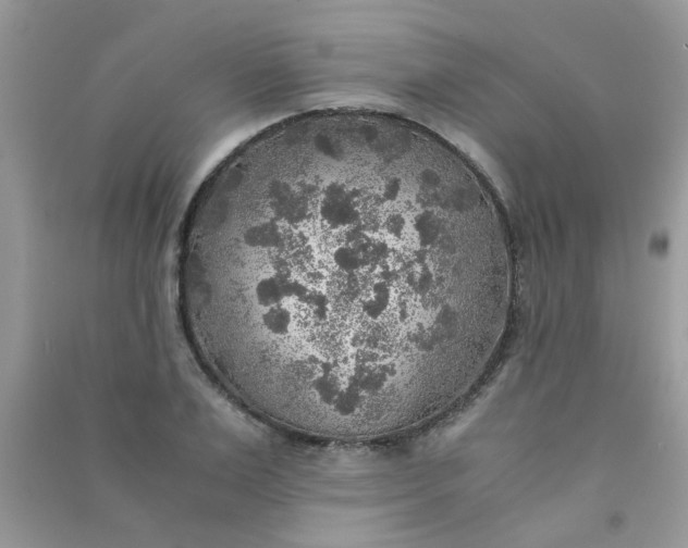 X0000091010983200708161955