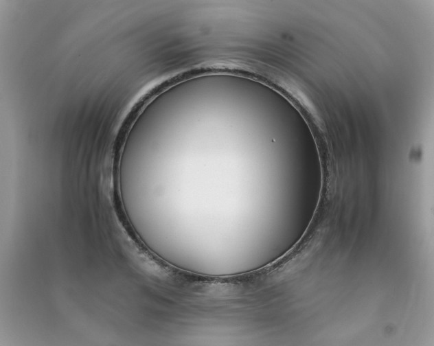 X0000091010984200708161955