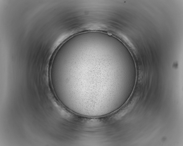 X0000091010986200708161955