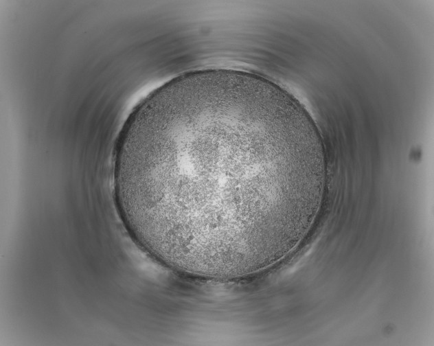 X0000091010987200708161955