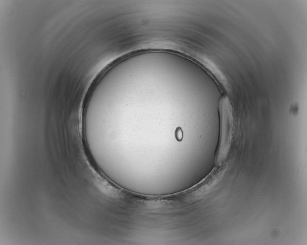 X0000091010988200708161955