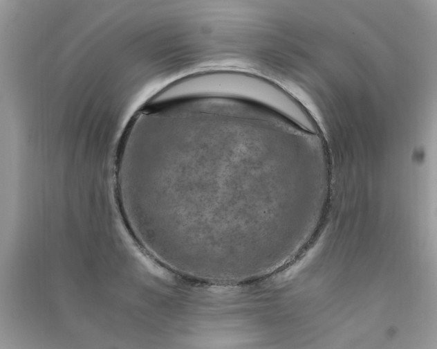 X0000091010989200708161955