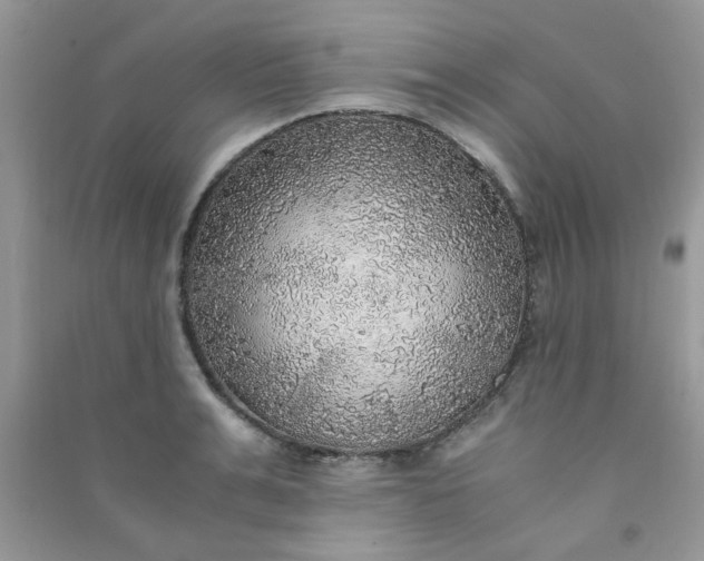 X0000091010991200708161954