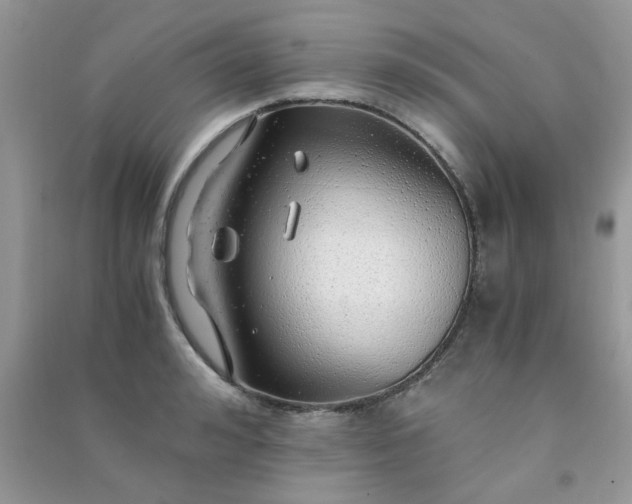 X0000091010992200708161954