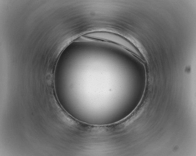 X0000091010993200708161954