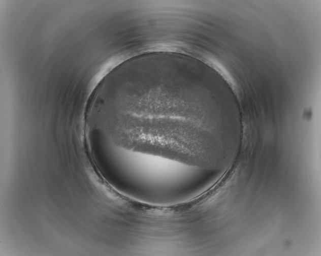 X0000091010994200708161954