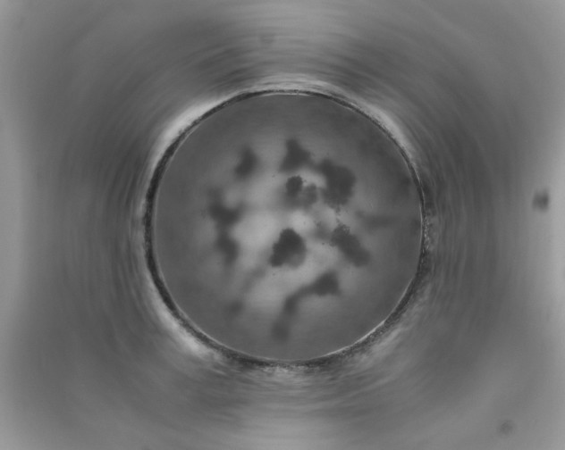 X0000091010995200708161954