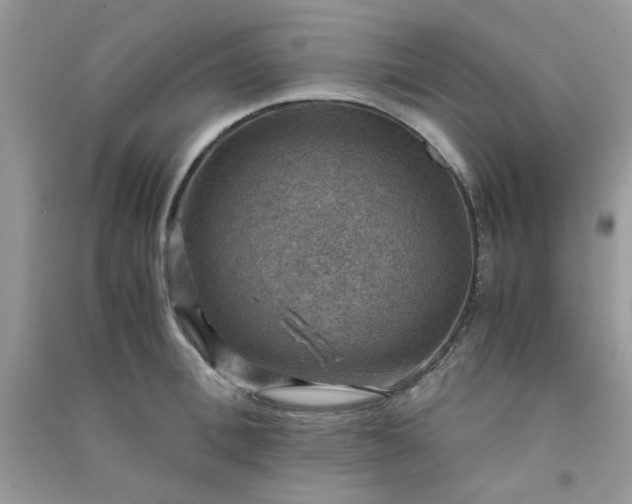 X0000091010996200708161954