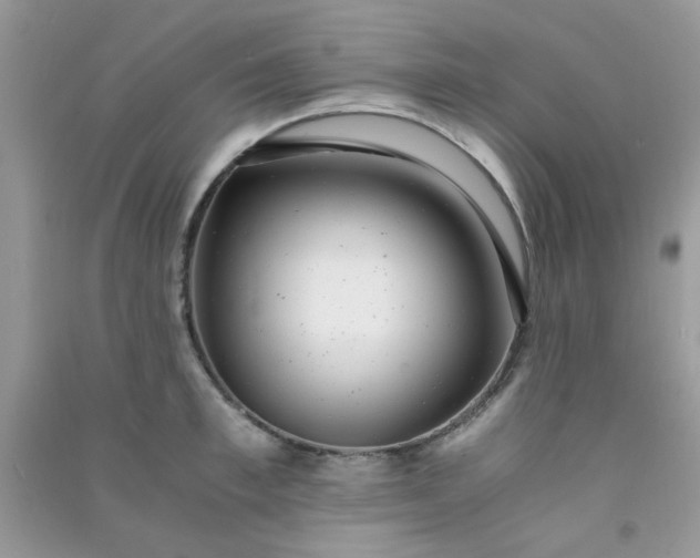 X0000091010997200708161954