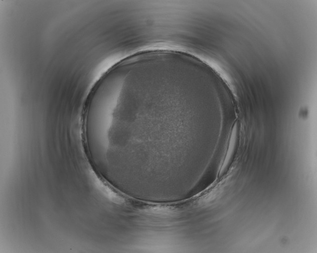 X0000091010998200708161954