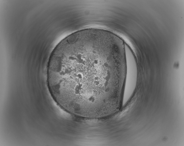 X0000091010999200708161954