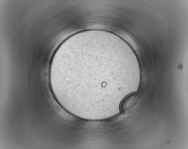 X0000091011000200708161954