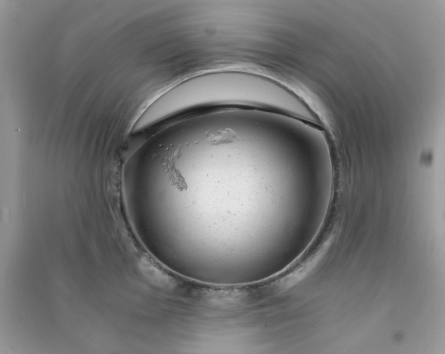 X0000091011001200708161954