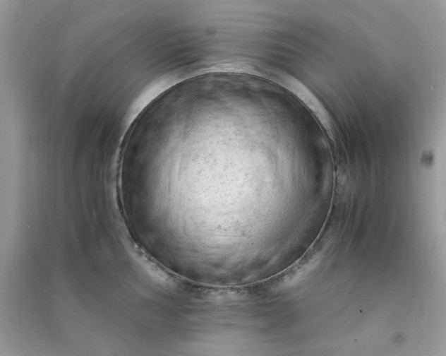 X0000091011002200708161954