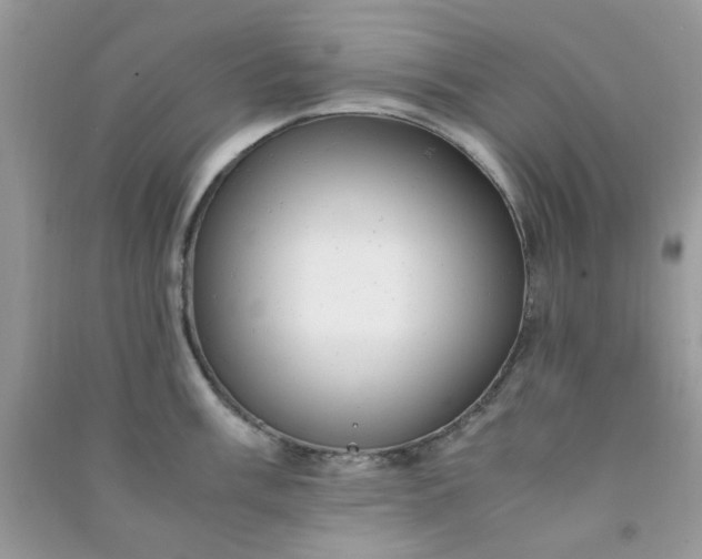 X0000091011003200708161954