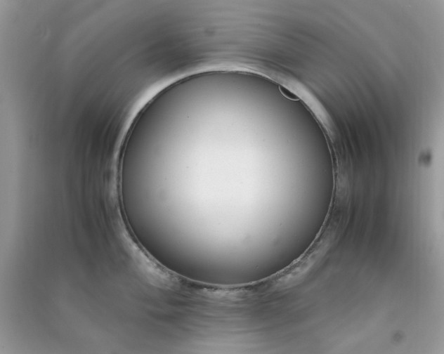 X0000091011004200708161954