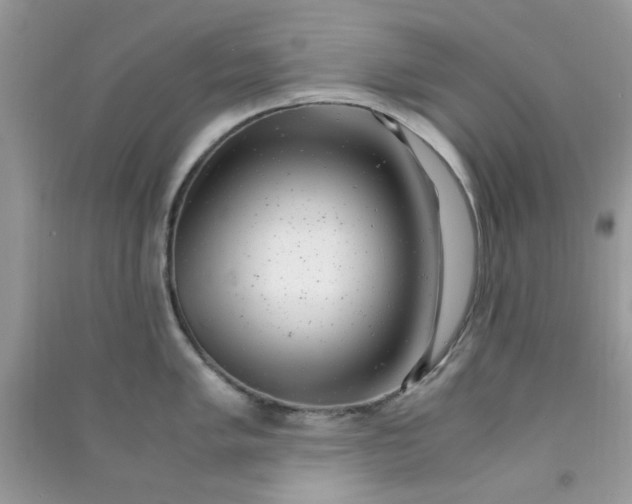 X0000091011005200708161954