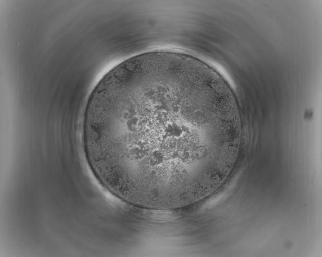 X0000091011007200708161954