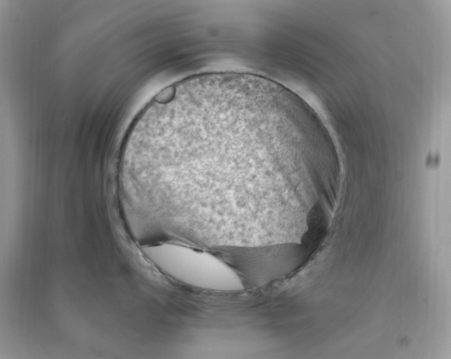 X0000091011008200708161954