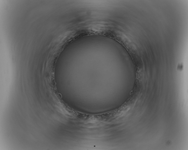 X0000091011009200708161954