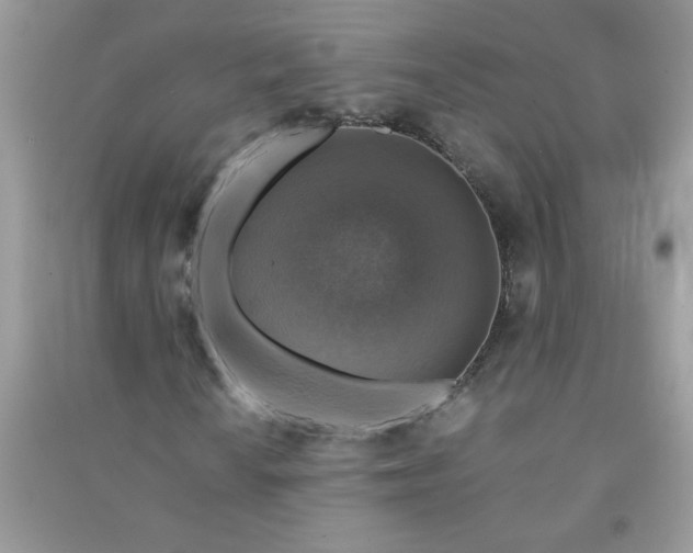 X0000091011010200708161954