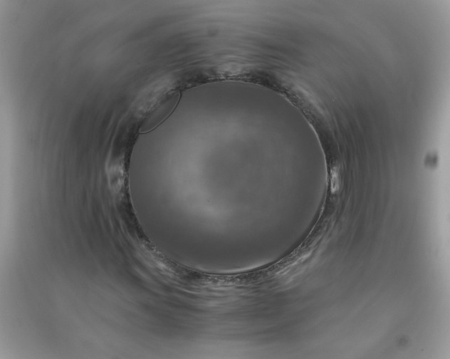 X0000091011011200708161954