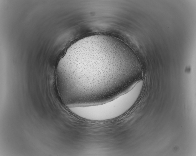 X0000091011012200708161954