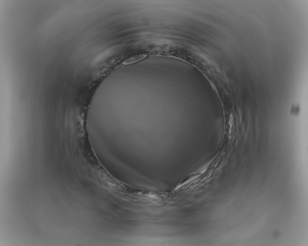 X0000091011013200708161954