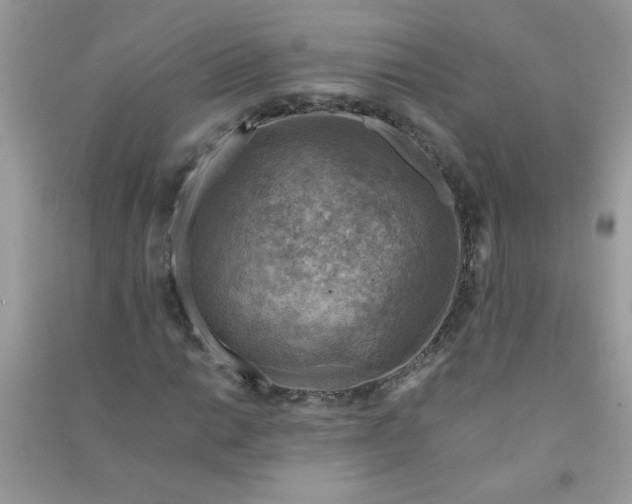 X0000091011014200708161954