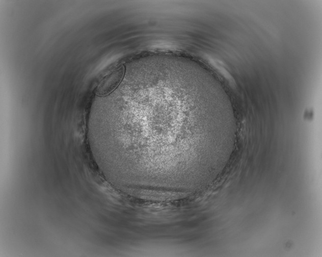 X0000091011015200708161954