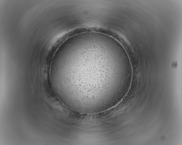 X0000091011016200708161954