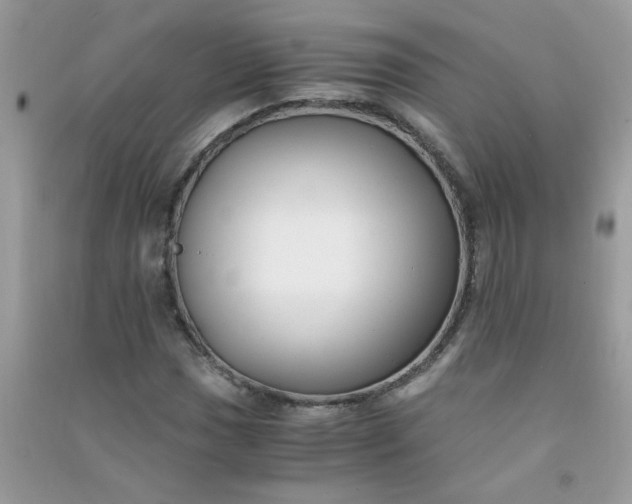 X0000091011017200708161954