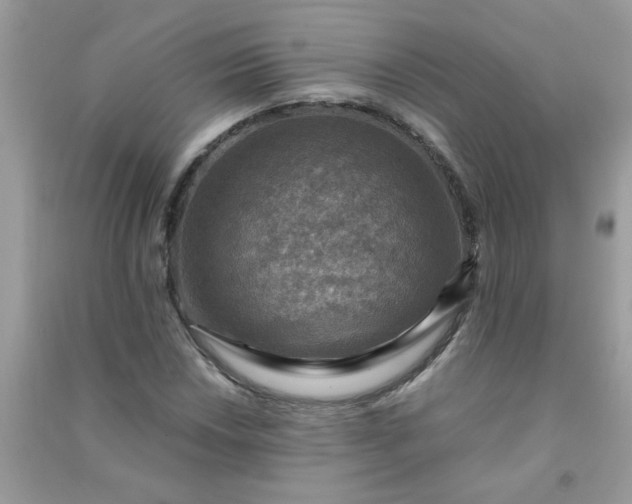 X0000091011018200708161954