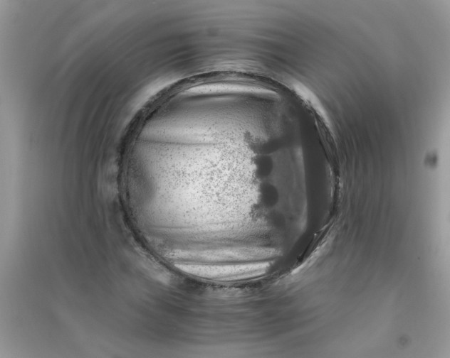 X0000091011019200708161954