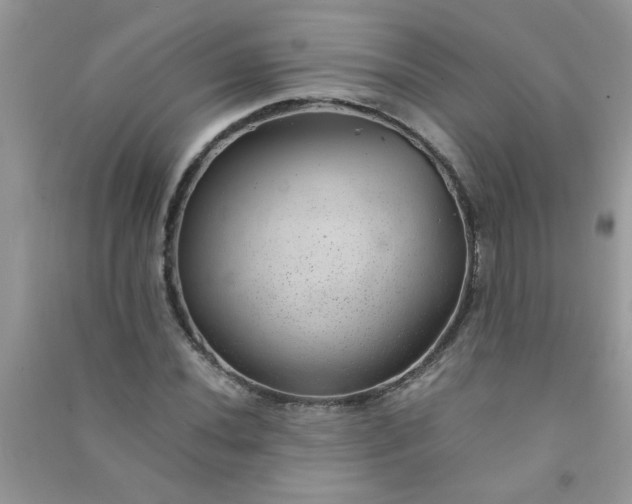 X0000091011020200708161954