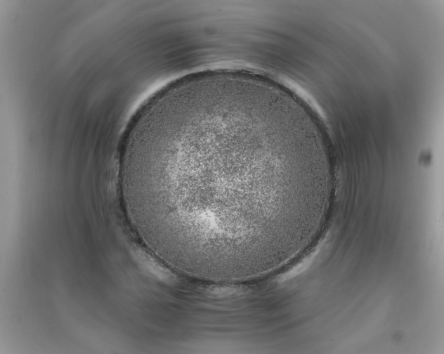 X0000091011021200708161954