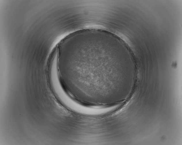 X0000091011022200708161954