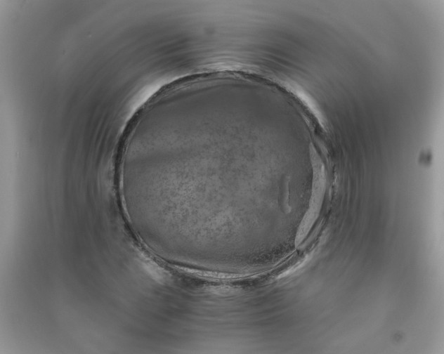 X0000091011023200708161954