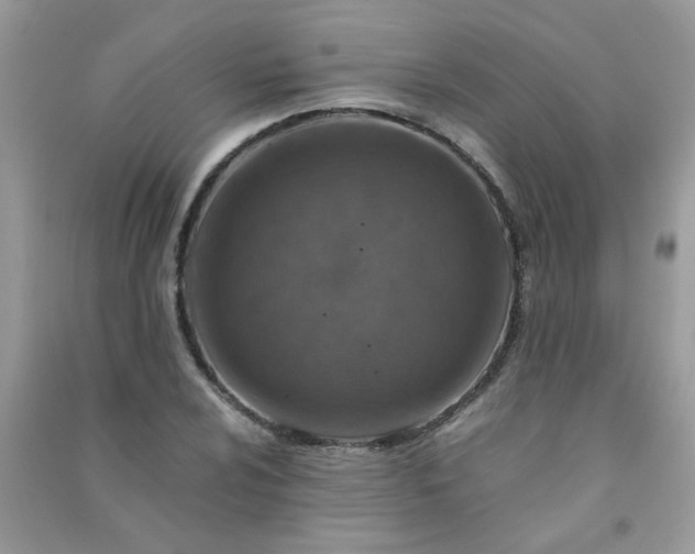 X0000091011024200708161954